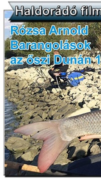 Videó ajánló: Barangolások az őszi Dunán – 1. rész