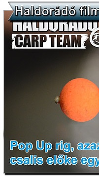 Videó ajánló: Bojlis végszerelékek, kötések a Haldorádó Carp Team-től 7. rész - Pop Up rig