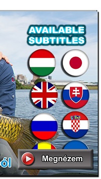 Vadzízi kalandok 31. rész Japán pontyok Tokió belvárosából