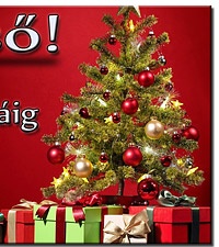 Még nem késő! Ha december 21-én 14:00 óráig leadod a megrendelésed, csomagod karácsony előtt megkapod!