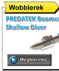 Wobblerek: PREDATEK Boomerang Shallow Diver