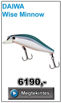 DAIWA Wise Minnow