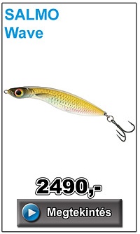 SALMO Wave
