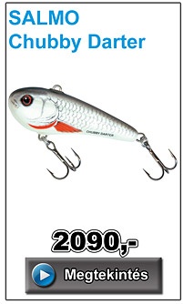 SALMO Chubby Darter