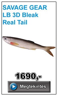 SAVAGE GEAR LB 3D Bleak Real Tail