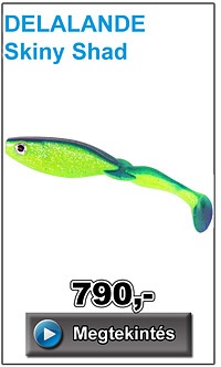 DELALANDE Skiny Shad